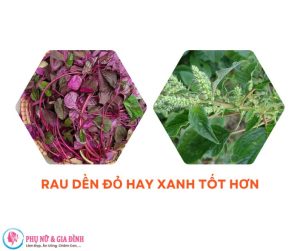 Rau dền đỏ hay xanh tốt hơn