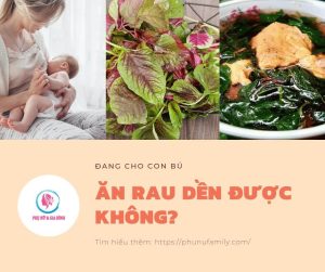 Đang cho con bú ăn rau dền được không