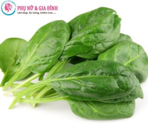 Cải bó xôi kỵ gì